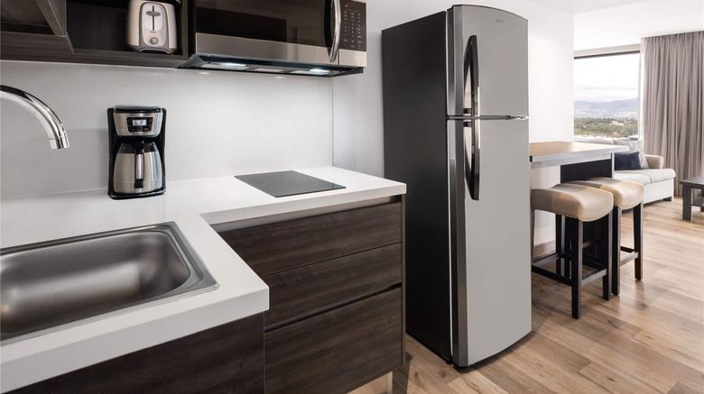 <b>Wyndham Garden Guatemala City Other</b>. Images powered by <a href="https://iceportal.shijigroup.com/" title="IcePortal" target="_blank">IcePortal</a>.