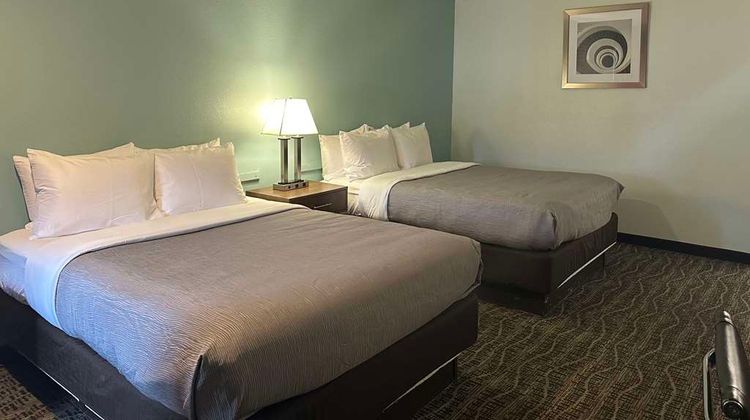 Quality Inn Fairfield Napa Valley Area Room