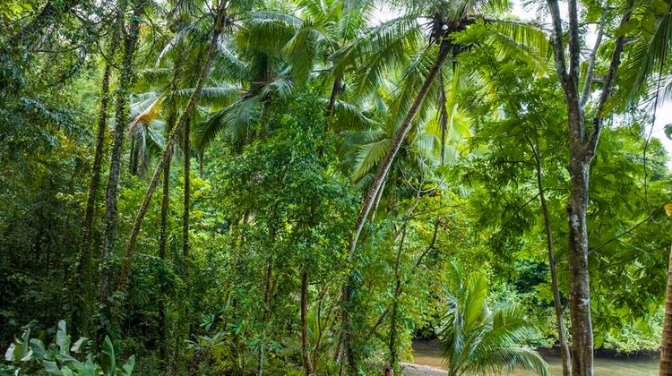 Playa Cativo Lodge Recreation
