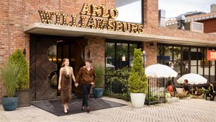 Arlo Williamsburg