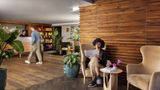 Arlo Williamsburg Lobby
