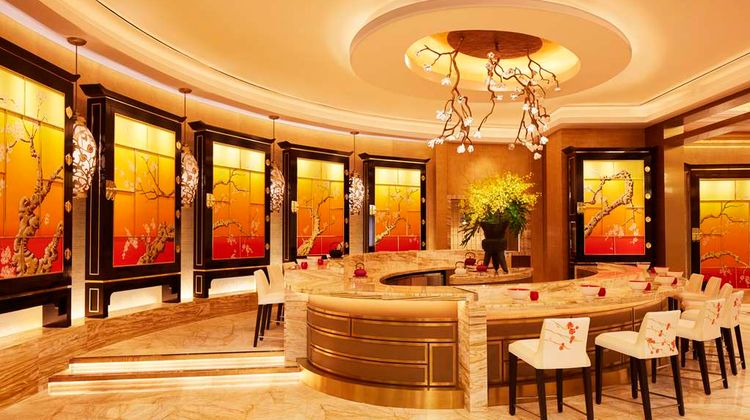 MGM COTAI Restaurant