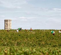 Best Western Premier des Vignes Exterior