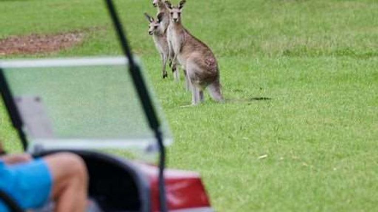<b>Chateau Elan Hunter Valley Recreation</b>. Images powered by <a href="https://iceportal.shijigroup.com/" title="IcePortal" target="_blank">IcePortal</a>.