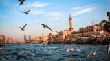 Moevenpick Hotel & Apartments Bur Dubai Other