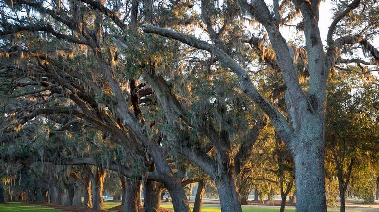 <b>The Lodge at Sea Island Golf Club Other</b>. Images powered by <a href="https://iceportal.shijigroup.com/" title="IcePortal" target="_blank">IcePortal</a>.