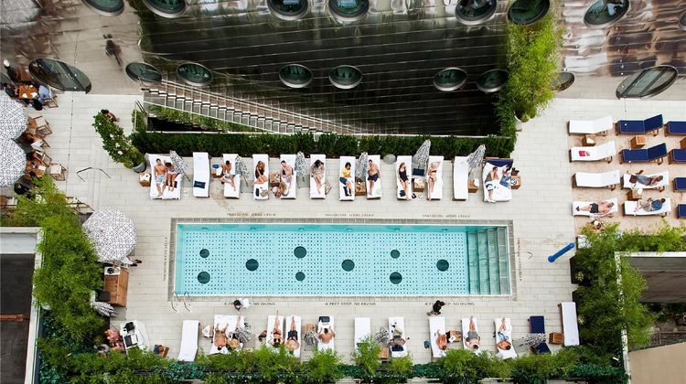 Dream Downtown by Hyatt Pool