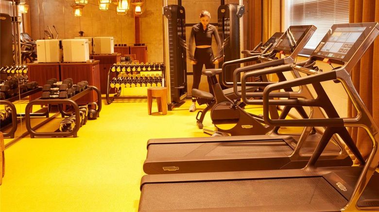 <b>Mondrian Bordeaux Les Carmes Health</b>. Images powered by <a href="https://iceportal.shijigroup.com/" title="IcePortal" target="_blank">IcePortal</a>.