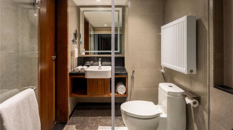 Radisson Hotel Sonamarg Suite