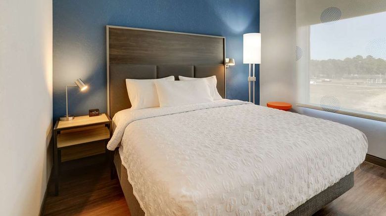 <b>Tru by Hilton Leland Wilmington Room</b>. Images powered by <a href="https://iceportal.shijigroup.com/" title="IcePortal" target="_blank">IcePortal</a>.