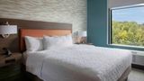 Home2 Suites by Hilton Lynchburg Room