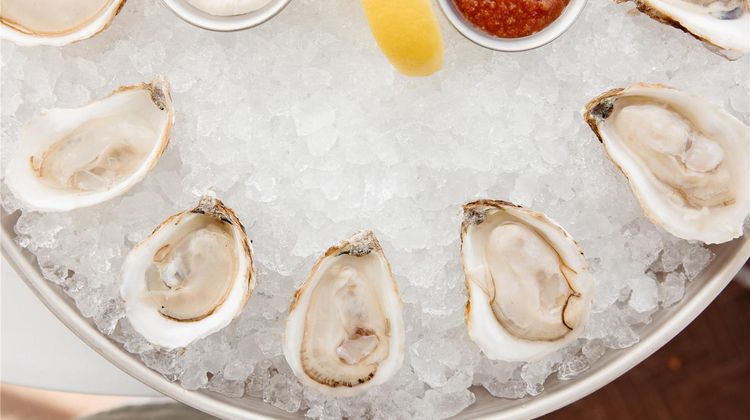 Hiatus Clearwater Beach-Curio Collection Restaurant