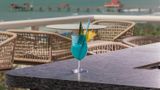 Hiatus Clearwater Beach-Curio Collection Other