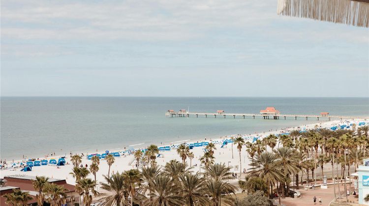 Hiatus Clearwater Beach-Curio Collection Beach
