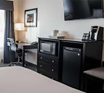 Park Inn Edmonton Airport Room
