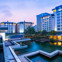 Dragon Hotel