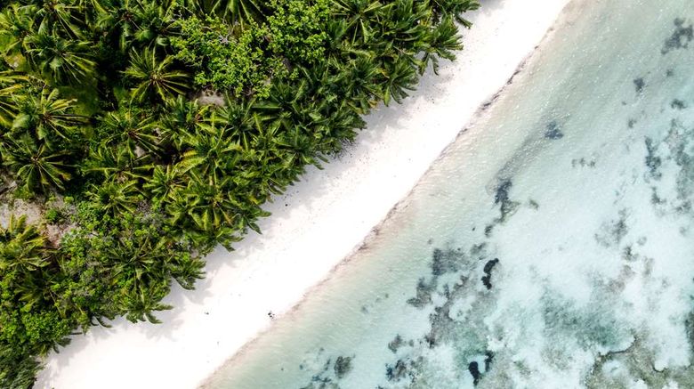 <b>Waldorf Astoria Seychelles Platte Island Beach</b>. Images powered by <a href="https://iceportal.shijigroup.com/" title="IcePortal" target="_blank">IcePortal</a>.