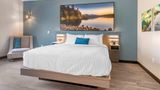 Cambria Hotel Lake Placid-Lakeside Resrt Room