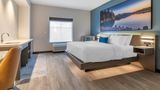 Cambria Hotel Lake Placid-Lakeside Resrt Suite