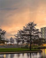 ibis Styles Rotterdam Ahoy