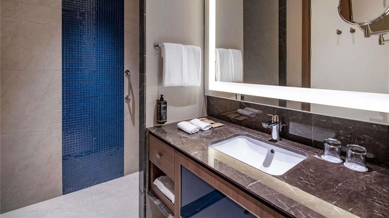 <b>Tbilisi Philharmonic by Mercure Hotel Room</b>. Images powered by <a href="https://iceportal.shijigroup.com/" title="IcePortal" target="_blank">IcePortal</a>.