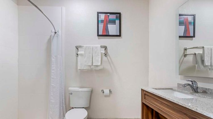 Comfort Suites Laredo Room