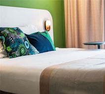 Ibis Styles Cayenne Centre Amazonia Room
