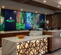 Wyndham Garden Redwood Valley Lobby