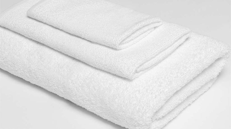 Regal 8 Inn & Suites Other