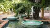 Hotel Caribe by Faranda Grand Other