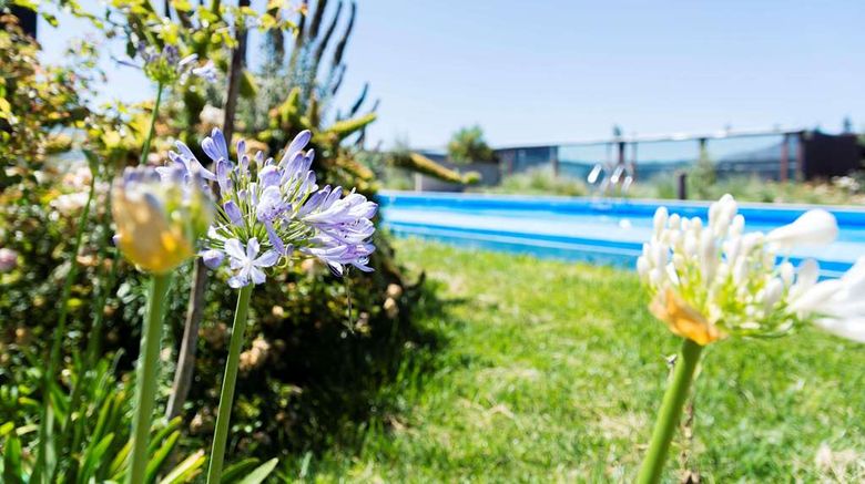 <b>Park Inn Los Olivos de Vallenar Other</b>. Images powered by <a href="https://iceportal.shijigroup.com/" title="IcePortal" target="_blank">IcePortal</a>.