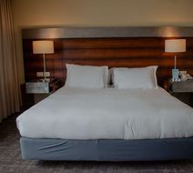 Radisson Hotel Puerto Varas Room