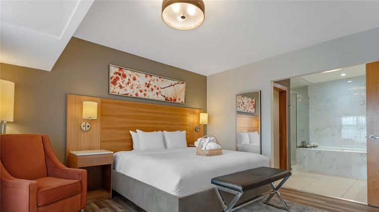 Radisson Hotel & Conference Calgary Apt Suite