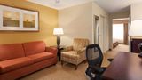 Country Inn & Suites Savannah I-95 North Suite