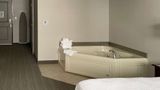 Country Inn & Suites Houghton Room