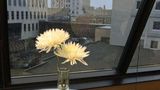 <b>Radisson Blu Fargo Meeting</b>. Images powered by <a href="https://iceportal.shijigroup.com/" title="IcePortal" target="_blank">IcePortal</a>.