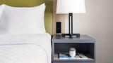 Country Inn & Suites Big Flats Elmira Suite