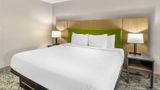 Country Inn & Suites Petersburg Room