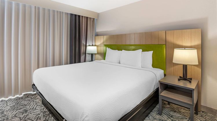 Country Inn & Suites Petersburg Suite
