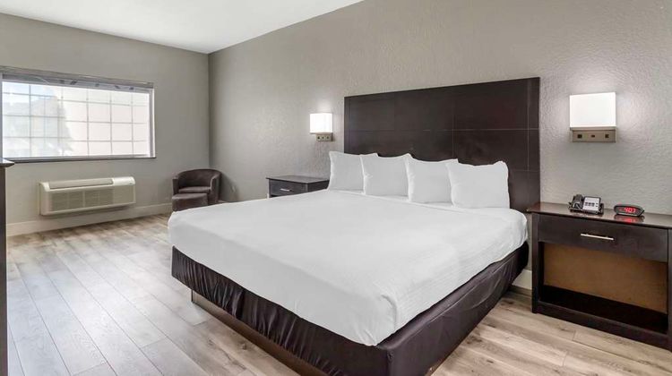 Best Western Texas City I-45 Room
