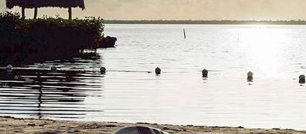 Parmer's Resort Beach