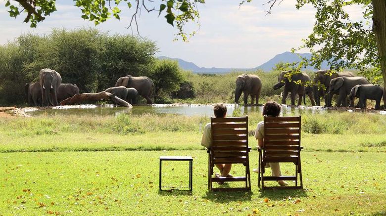 <b>Last Word Madikwe Bush House Other</b>. Images powered by <a href="https://iceportal.shijigroup.com/" title="IcePortal" target="_blank">IcePortal</a>.