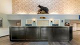 <b>Black Bear Inn, Ascend Collection Lobby</b>. Images powered by <a href="https://iceportal.shijigroup.com/" title="IcePortal" target="_blank">IcePortal</a>.