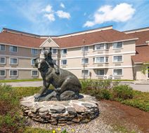 Black Bear Inn, Ascend Collection Exterior