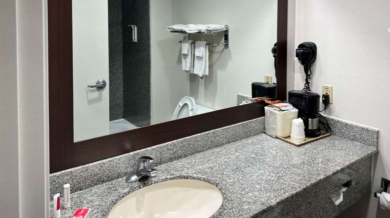 <b>Econo Lodge Beaumont I-10 South Room</b>. Images powered by <a href="https://iceportal.shijigroup.com/" title="IcePortal" target="_blank">IcePortal</a>.