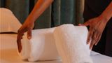 <b>Artemisia Montmartre Spa</b>. Images powered by <a href="https://iceportal.shijigroup.com/" title="IcePortal" target="_blank">IcePortal</a>.