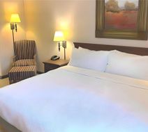 Quality Inn Room