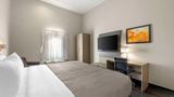 Quality Inn & Suites Joelton - Nashville Room