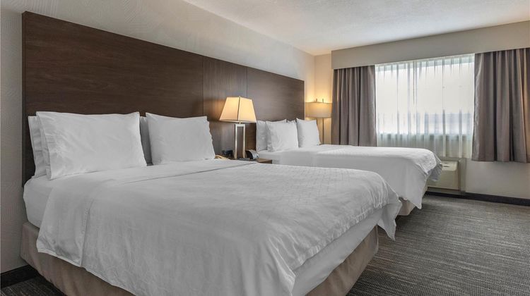 Best Western Dawson Creek Room