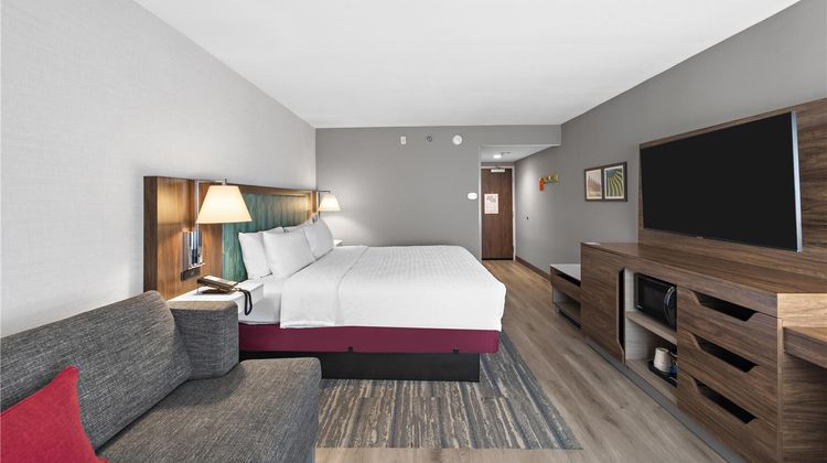 Hampton Inn by Hilton Los Angeles Arpt Room